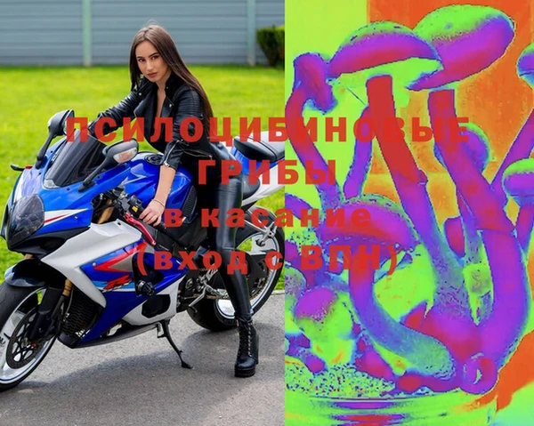 mix Вяземский