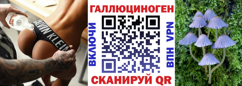 Купить  Правдинск  Псилоцибиновые грибы мухоморы 